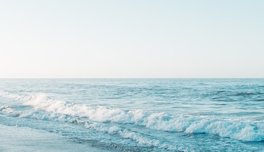 続々このはちゃんを説明しよう！！